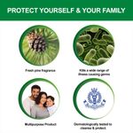 Buy Dettol Antiseptic Liquid (60 ml) - Purplle