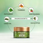 Buy Bioayurveda Joint Pain Relief Balm (20 g) - Purplle