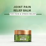 Buy Bioayurveda Joint Pain Relief Balm (20 g) - Purplle