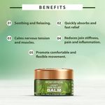 Buy Bioayurveda Joint Pain Relief Balm (20 g) - Purplle