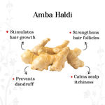 Buy Alps Goodness Powder - Amba Haldi (50 g) | 100% Natural Powder | No Chemicals, No Preservatives, No Pesticides | Face Mask for Even Toned Skin | Face Mask for Glow - Purplle