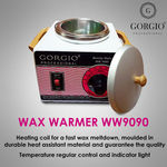 Buy Gorgio Professional Warmer Wax Heater Metal Body Single Bowl Model No.: WW9090 - Purplle
