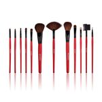 Buy SHANY Professional 12 - Piece Natural Goat/Badger Cosmetic Brush Set , Pouch - Purplle