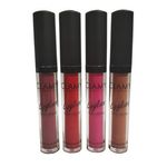 Buy Clamy Long Lasting Matte Lipgloss (Set of 4) A - Purplle