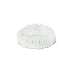 Buy Golden Peacock Shell Bracelet 2862 - Purplle