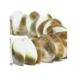 Buy Golden Peaccok Shell Bracelet 2863 - Purplle