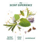 Buy Herbal Essences Bio:Renew Rosemary And Herbs Shampoo (400 ml) - Purplle