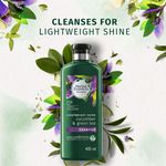 Buy Herbal Essences Bio:Renew Cucumber And Green Tea Shampoo (400 ml) - Purplle
