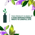 Buy Herbal Essences Bio:Renew Cucumber And Green Tea Shampoo (400 ml) - Purplle
