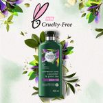 Buy Herbal Essences Bio:Renew Cucumber And Green Tea Shampoo (400 ml) - Purplle