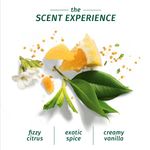 Buy Herbal Essences Bio:Renew Argan Oil Of Morocco Conditioner (400 ml) - Purplle