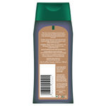 Buy Biotique Bio Walnut Bark Shampoo (100 ml) - Purplle