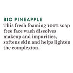 Buy Biotique Bio Pineapple Oil Control Foaming Face Wash (200 ml) - Purplle