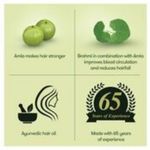 Buy Brahmi Amla Ayurvedic Hair Oil (300 ml) - Purplle