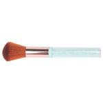Buy Paco Milano PMB10 Makeup brushes (Color May Vary) - Purplle
