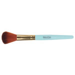 Buy Paco Milano PMB10 Makeup brushes (Color May Vary) - Purplle