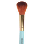 Buy Paco Milano PMB10 Makeup brushes (Color May Vary) - Purplle