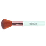 Buy Paco Milano PMB10 Makeup brushes (Color May Vary) - Purplle