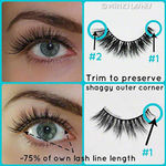 Buy Paco Milano PWL35 Makeup Wicked Lashes - Purplle