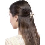 Buy Crunchy Fashion Golden Mini Crystal Claw Clamp Clip - Purplle