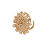 Buy Crunchy Fashion Golden Mini Claw Clamp Clip CFH0115 - Purplle