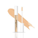 Buy I-AmsterDAMN Liquid Concealer, Tulipa Lily-Flowered - Fly Away 3 (3.2 ml) - Purplle