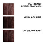 Buy BBLUNT Salon Secret High Shine Creme Hair Colour Reddish Brown 4.56 (100 g) With Shine Tonic (8 ml) - Purplle