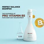 Buy BBLUNT Perfect Balance Shampoo for Normal to Dry Hair, with Pro vitamin B5. No Parabens. 400ml - Purplle