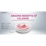 Buy Zenvista Natural Calamine Powder Good For Sun Burn, Tan Skin,Dry Skin Care (100 g) - Purplle