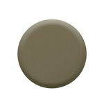 Buy Colorbar Nail Lacquer Soft Sand (12 ml) - Purplle