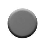 Buy Colorbar Matte Nail Lacquer Grey Goose (12 ml) - Purplle