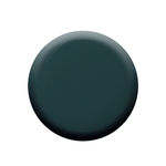 Buy Colorbar Matte Nail Lacquer Grey Raven (12 ml) - Purplle