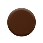 Buy Colorbar Nail Lacquer Chocolate Flow (12 ml) - Purplle