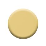 Buy Colorbar Nail Lacquer Spell Bee (12 ml) - Purplle