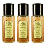 Buy Ancient Living Rejuvenative Shampoo (50 ml) Set Of 3 - Purplle