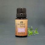 Buy Ancient Living Thyme Essential Oil (10 ml) Set Of 2 - Purplle