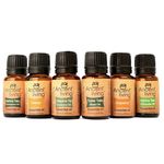 Buy Ancient Living 6 Essential Oils Set (10 ml) Each - Purplle
