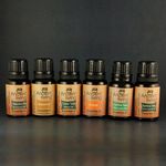 Buy Ancient Living 6 Essential Oils Set (10 ml) Each - Purplle
