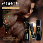 Buy Enega Professional Permanent Cream Hair Color Ammonia free nourishing hair color with Argan Quinoa protein technic net quantity 60gm/each premium quality BLACK 1(60 gm) - Purplle