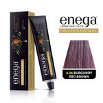 Buy Enega Professional Permanent Cream Hair Color Ammonia free nourishing hair color with Argan Quinoa protein technic net quantity 60gm/each premium quality BURGUNDY RED BROWN 4.26(60 gm) - Purplle