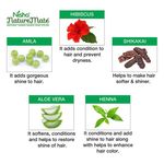 Buy Nisha Nature Mate Natural Henna Based Hair Color No Ammonia (Net Quantity 30 g) - Purplle