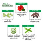 Buy Nisha Nature Mate Natural Henna Based Hair Color No Ammonia (Net Quantity 60 g) - Purplle