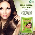 Buy PREM DULHAN 100% NATURALS MEHENDI(HENNA) POWDER SEMI-PERMANENT HAIR COLOR (250 g) - Purplle