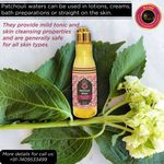 Buy Avnii Organics Patchouli Water Floral Water Hydrosol (100 ml) - Purplle