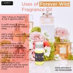 Buy Zenvista Forever Wild, Fragrance Oil (15 ml) - Purplle