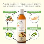 Buy Evam Ginger Ginseng Shampoo (240 ml) - Purplle