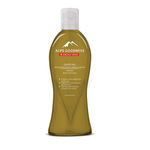 Buy Alps Goodness Herbal Hair Oil - Olive (100 ml) - Purplle