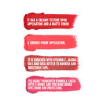 Buy Colorbar Velvet Matte Lipstick Rum Raisin 041 - Maroon (4.2 g) - Purplle
