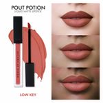 Buy House of Makeup Pout Potion Liquid Matte Lipstick - Low key (2.7 ml) - Purplle