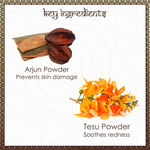Buy Vayam Ayurveda Skin Purifying Face Pack concocted with Turmeric Powder and Fuller's Earth Powder (40 g) | Ayurvedic | Natural | Herbal | Pure | Sulphate free | Paraben Free - Purplle